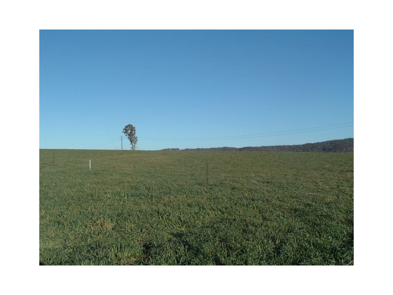 Tenterfield NSW 2372