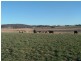 Tenterfield NSW 2372