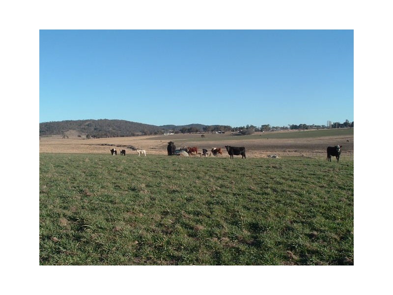 Tenterfield NSW 2372