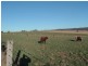 Tenterfield NSW 2372