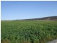 Tenterfield NSW 2372