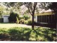 Tenterfield NSW 2372
