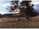 Tenterfield NSW 2372