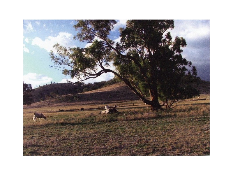 Tenterfield NSW 2372