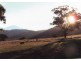 Tenterfield NSW 2372