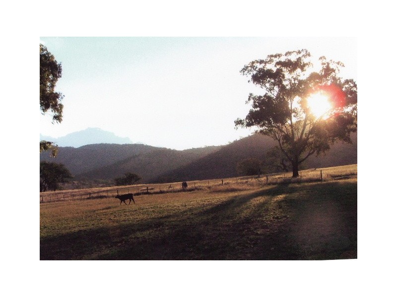 Tenterfield NSW 2372