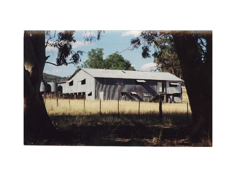 Tenterfield NSW 2372