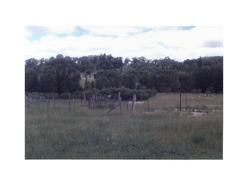 Tenterfield NSW 2372