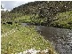 Deepwater NSW 2371