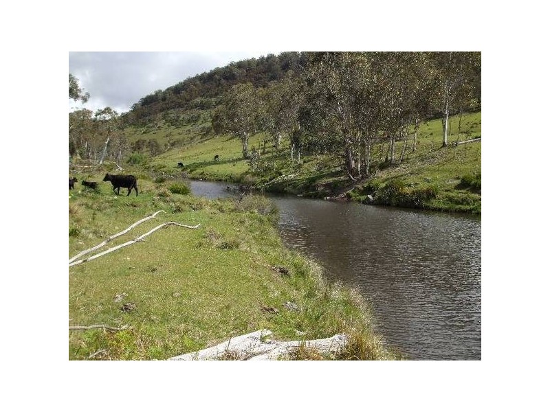 Deepwater NSW 2371