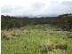 Deepwater NSW 2371