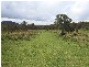 Deepwater NSW 2371