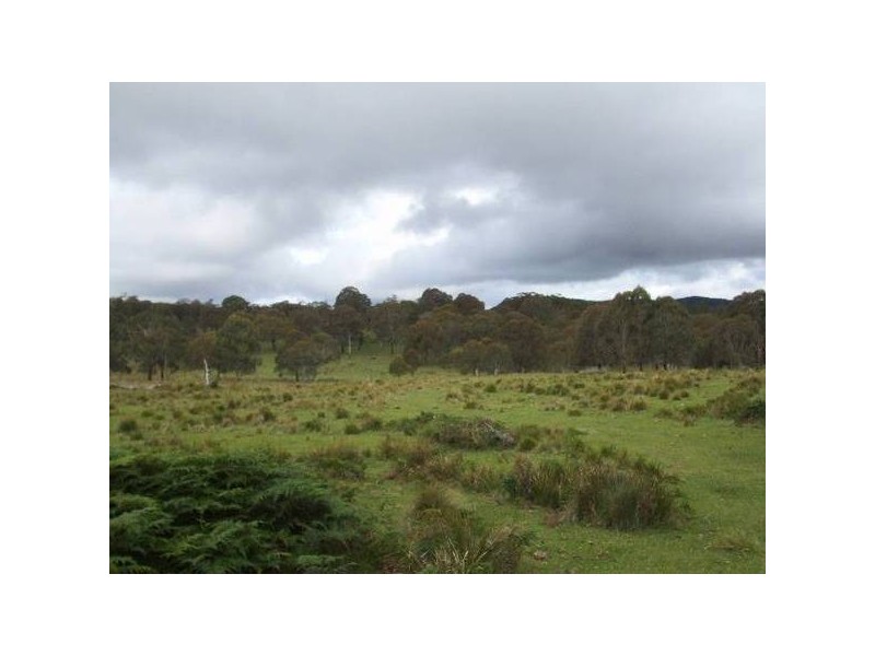 Deepwater NSW 2371