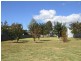 Tenterfield NSW 2372