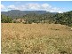 Drake NSW 2469