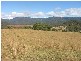 Drake NSW 2469