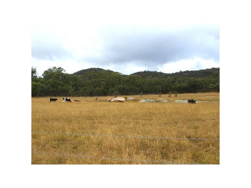 Wallangarra QLD 4383