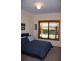 Tenterfield NSW 2372