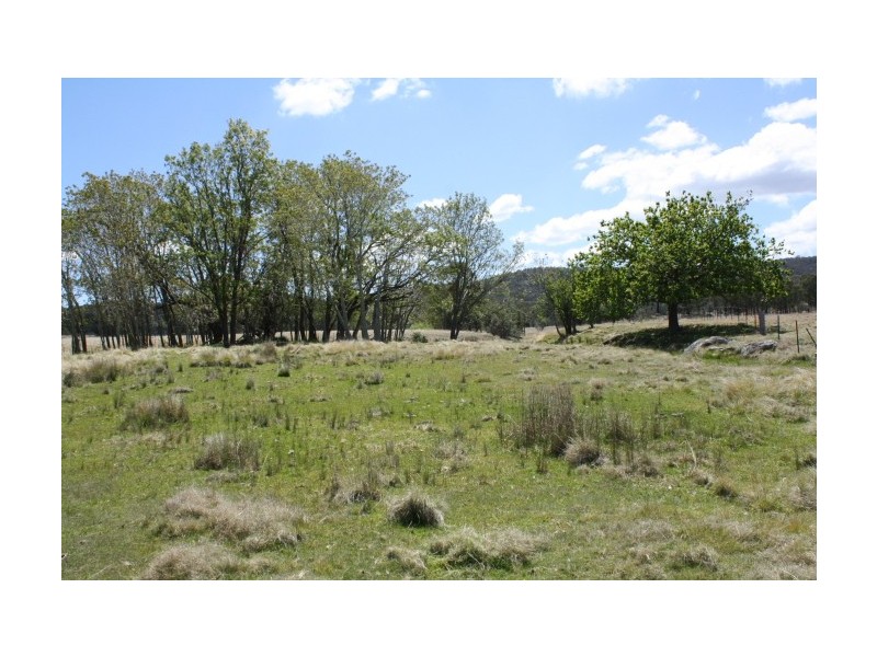 Tenterfield NSW 2372