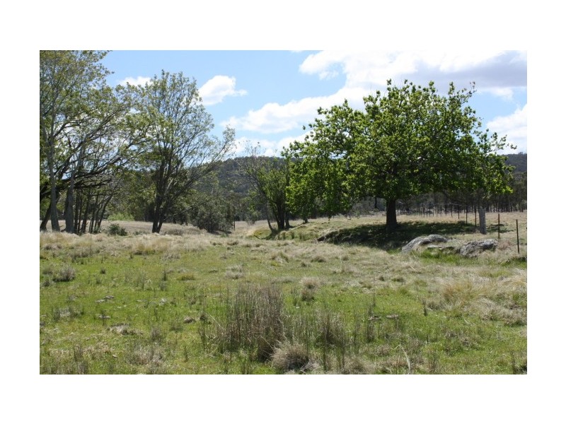 Tenterfield NSW 2372