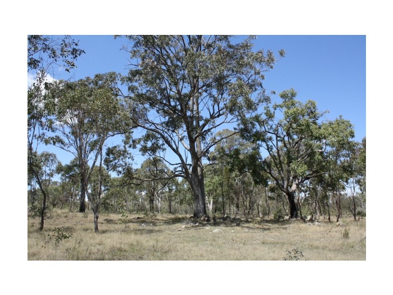 Tenterfield NSW 2372