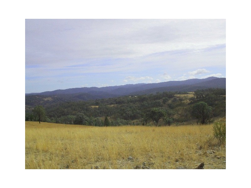 Tenterfield NSW 2372
