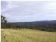 Tenterfield NSW 2372