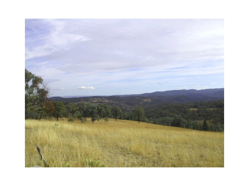 Tenterfield NSW 2372