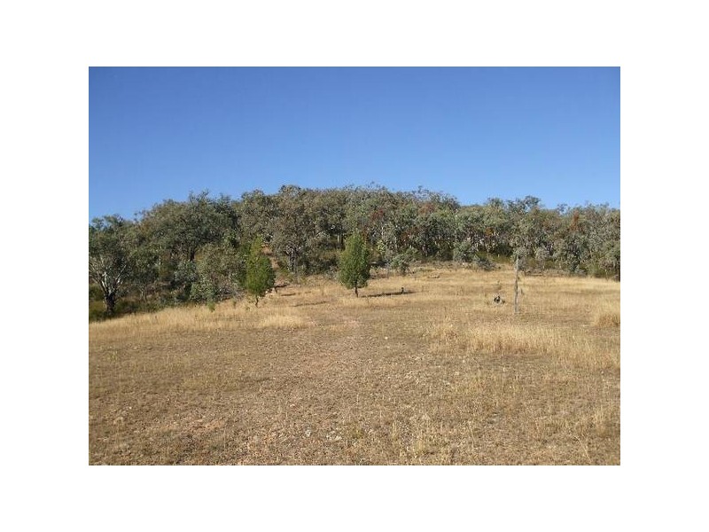 Tenterfield NSW 2372