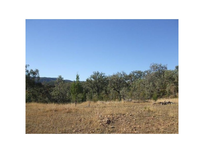 Tenterfield NSW 2372