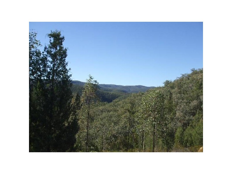 Tenterfield NSW 2372