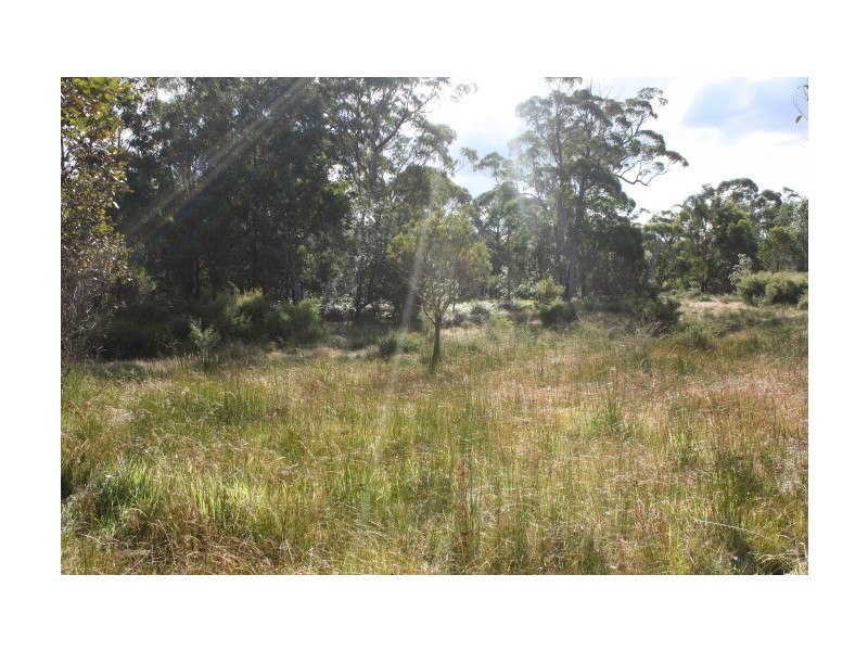 Tenterfield NSW 2372