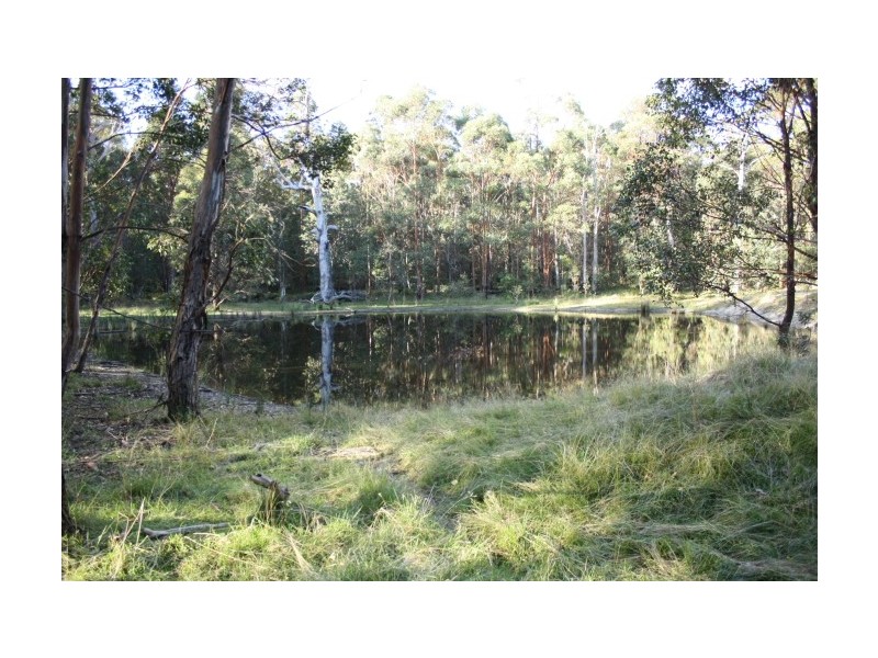 Tenterfield NSW 2372