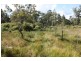 Tenterfield NSW 2372