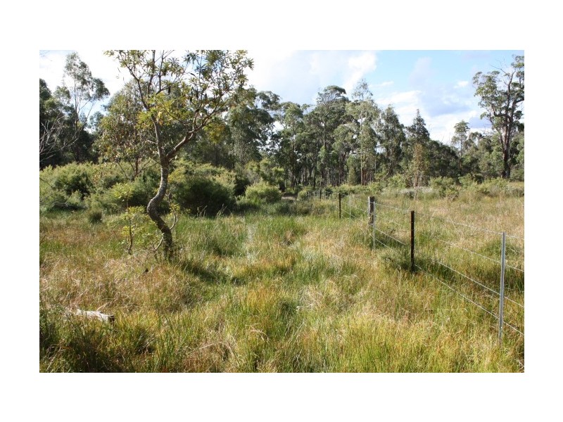 Tenterfield NSW 2372