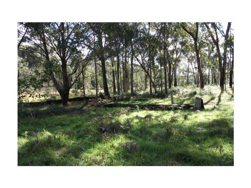 Tenterfield NSW 2372