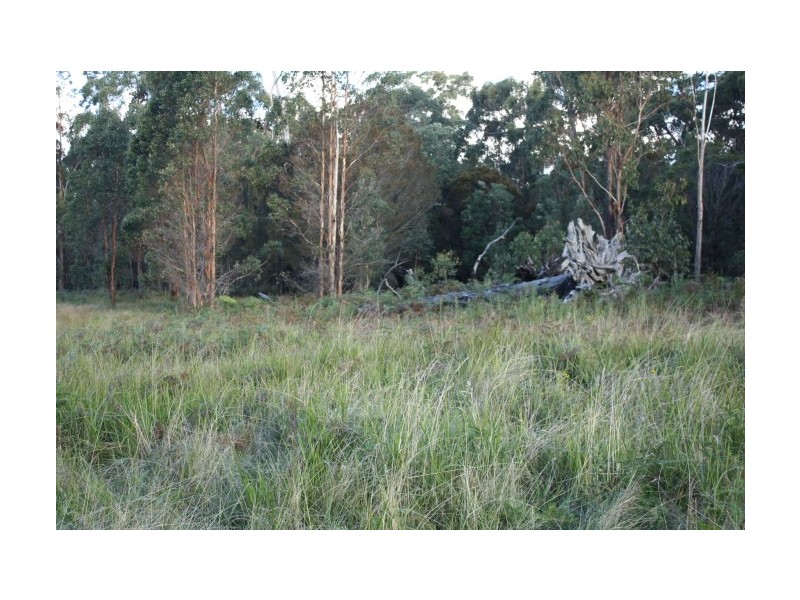 Tenterfield NSW 2372
