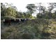 Tenterfield NSW 2372