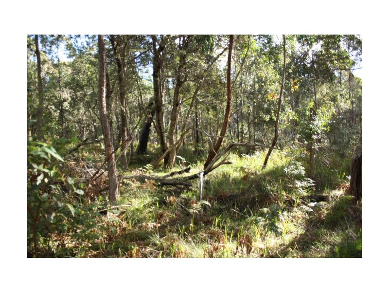 Tenterfield NSW 2372