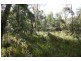 Tenterfield NSW 2372