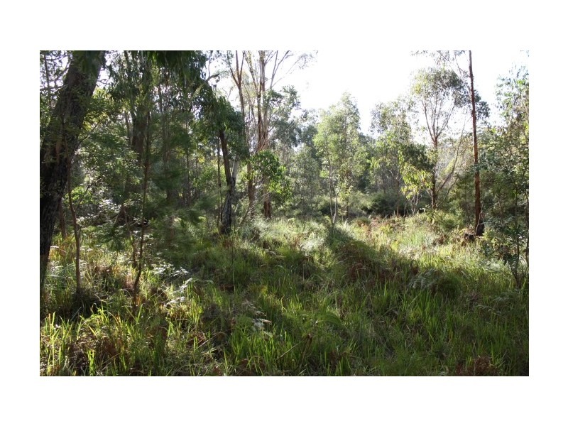 Tenterfield NSW 2372