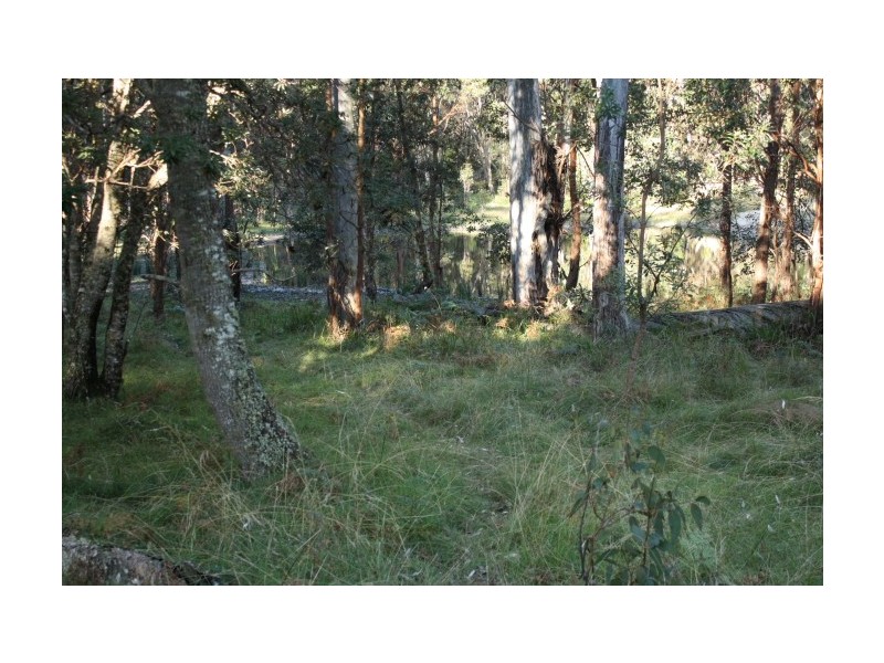 Tenterfield NSW 2372