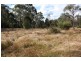 Tenterfield NSW 2372