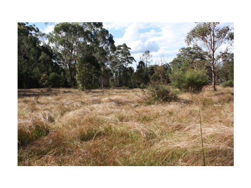 Tenterfield NSW 2372