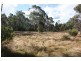 Tenterfield NSW 2372