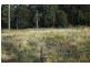 Tenterfield NSW 2372