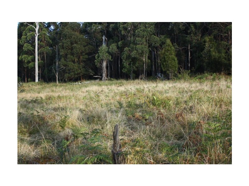 Tenterfield NSW 2372