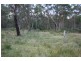 Tenterfield NSW 2372