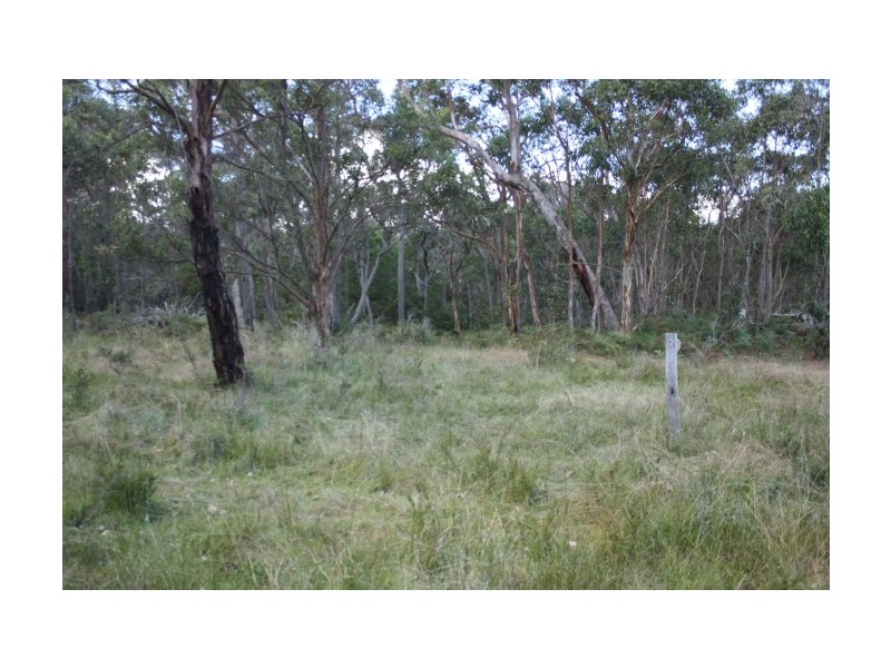 Tenterfield NSW 2372