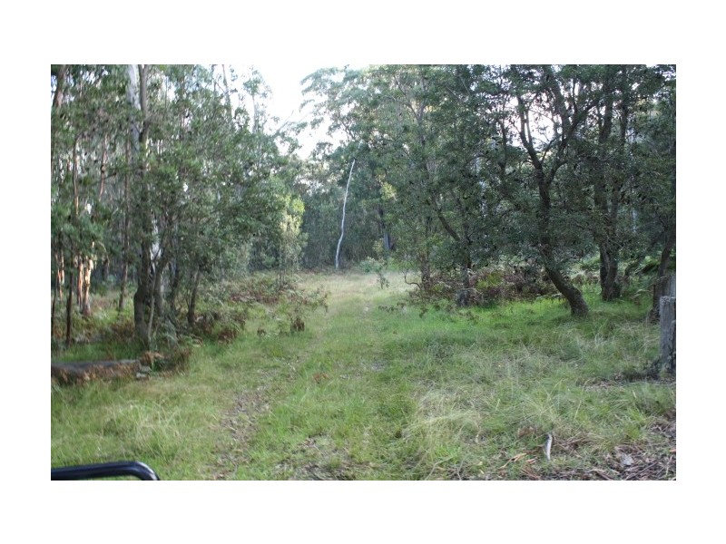 Tenterfield NSW 2372